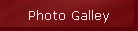 Photo Galley